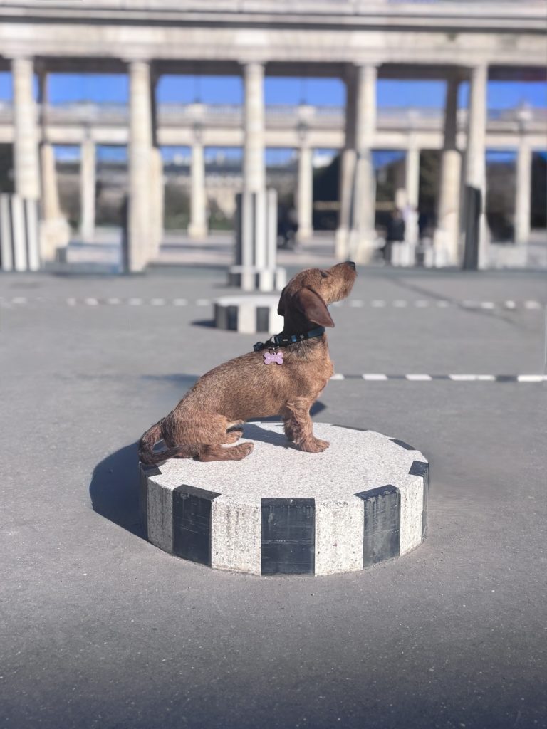 L’attribut alt de cette image est vide, son nom de fichier est IMG_0531-768x1024.jpeg.